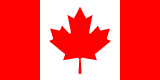 Team flag