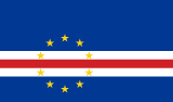 Team flag