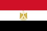 Team flag