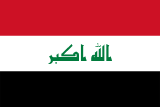 Team flag