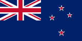 Team flag